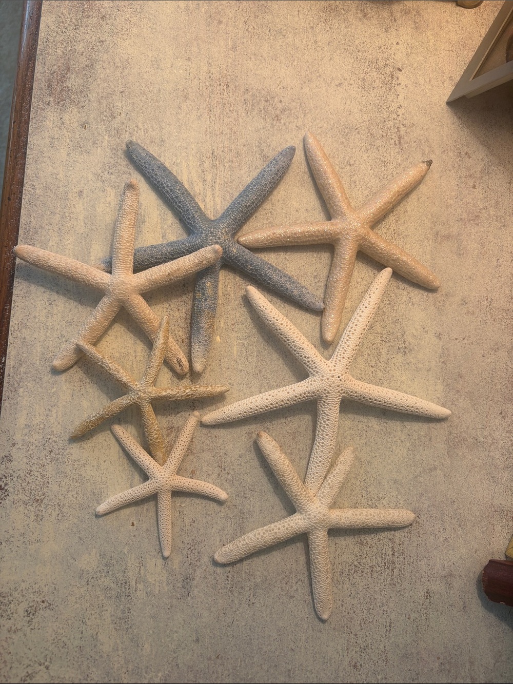 Coastal Starfish Wall Decor Set in Beige & Gray 7 in total